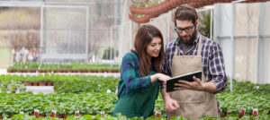 Photograph of young adult garden worker in apron using digital tablet at greenhouse